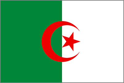 Algerian national flag — image 01