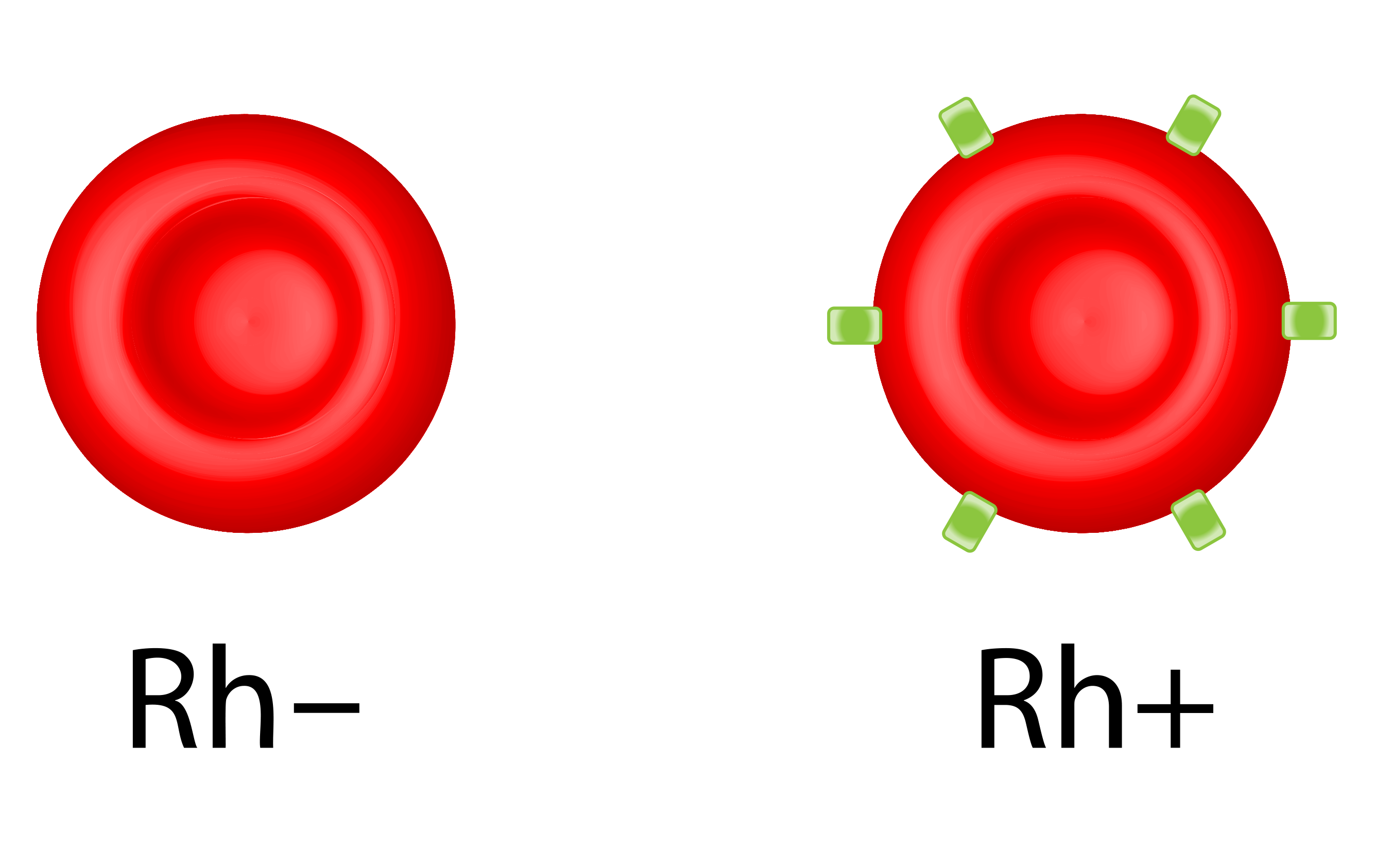 Diagram of Rh incompatibility between an Rh-negative mother and Rh-positive fetus.