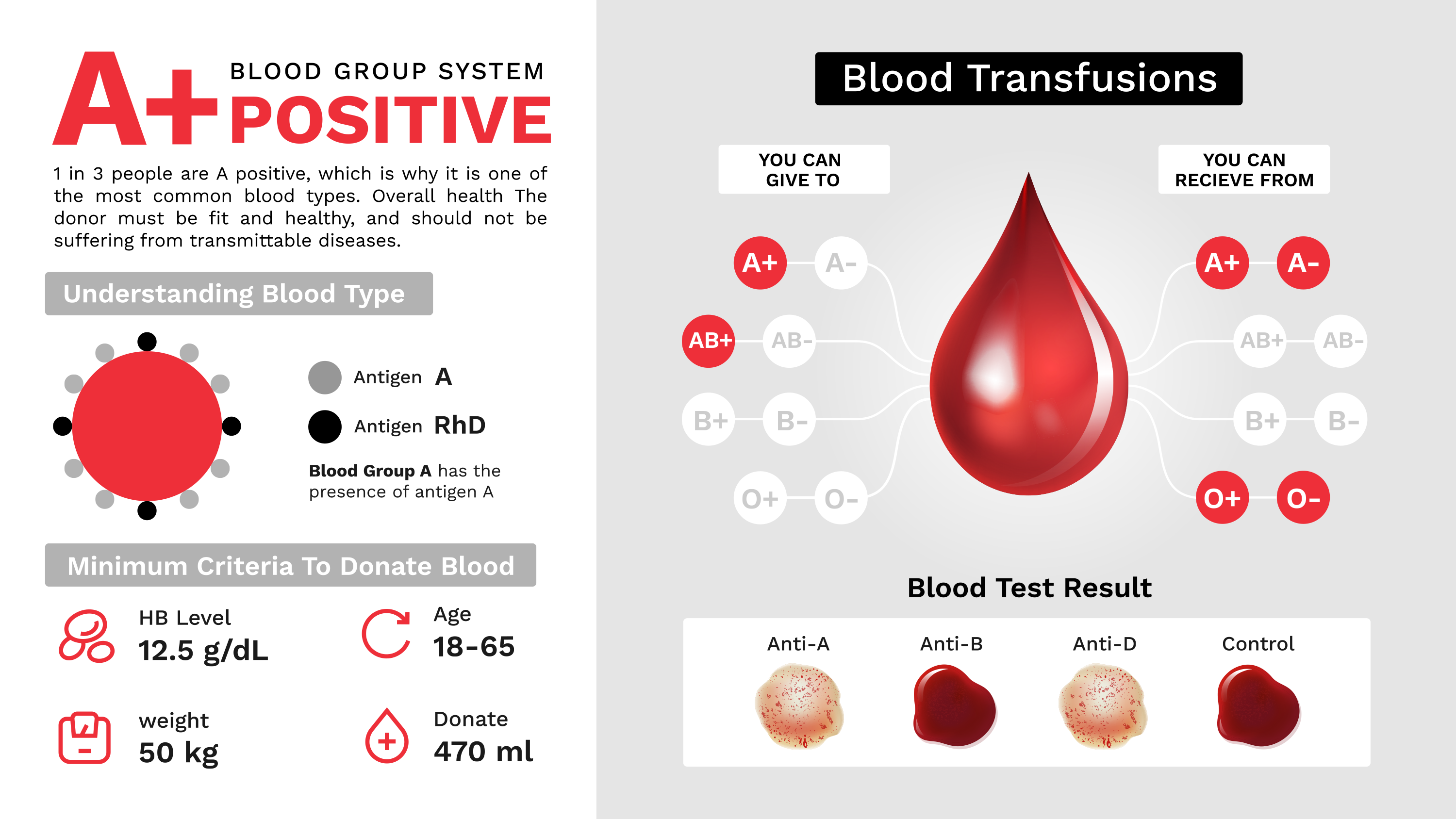 Blood groups \u2014 image 11
