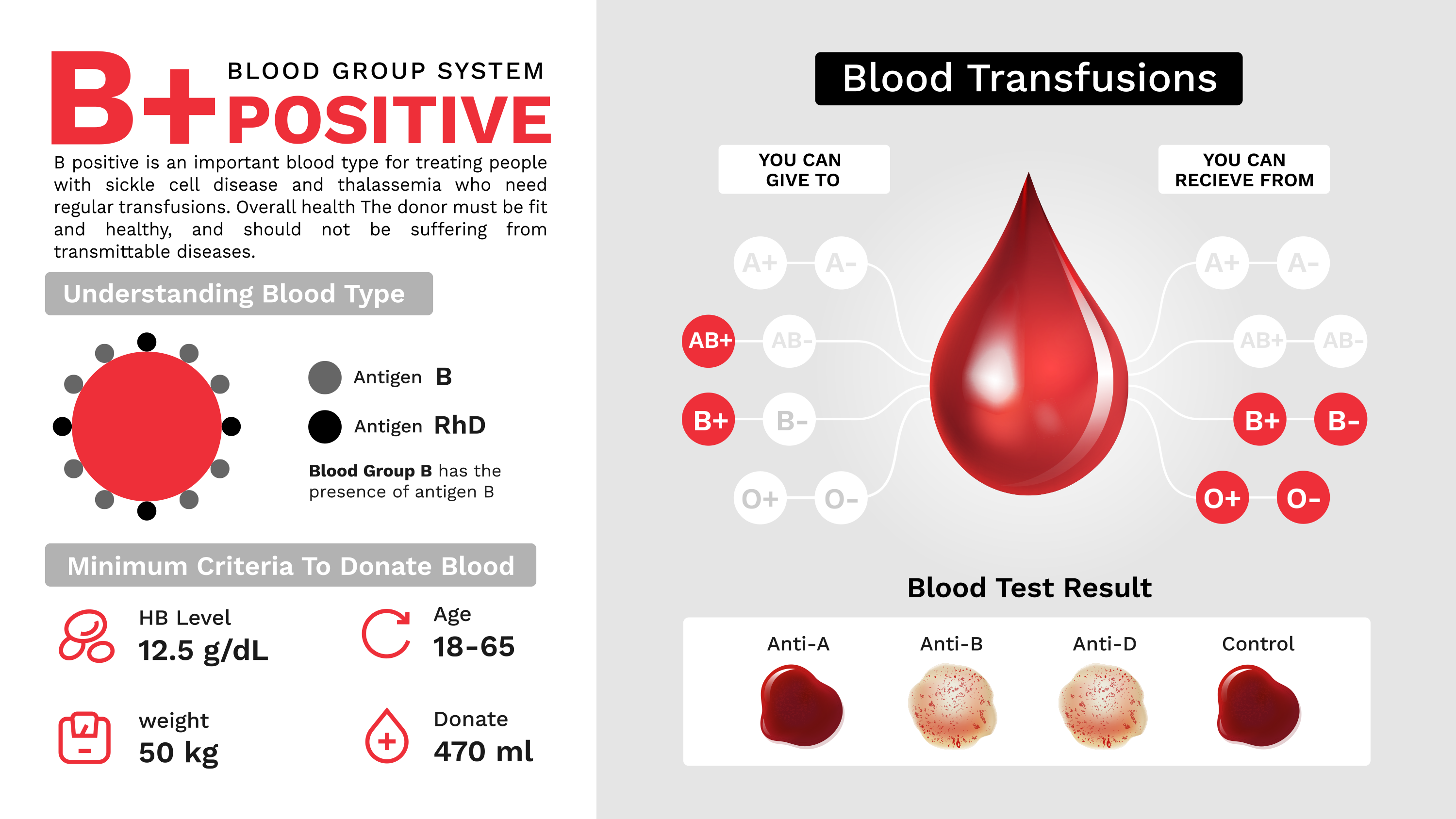 Blood groups \u2014 image 12