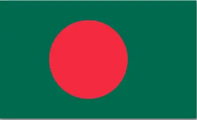National flag