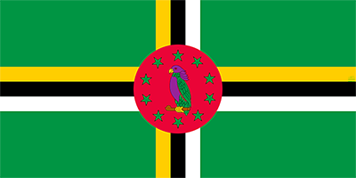 National flag
