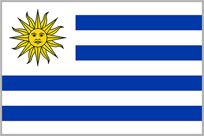 National flag