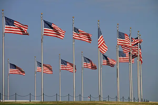 United States national flag — image 26