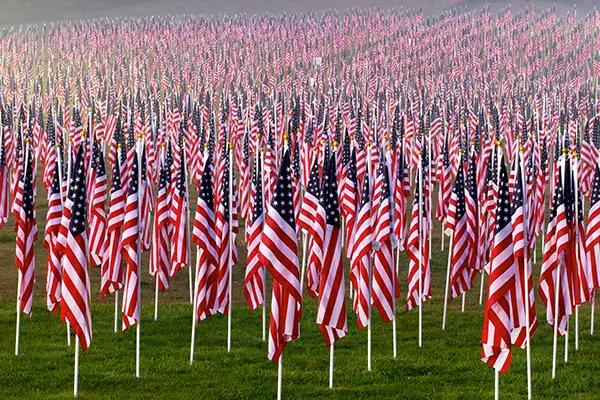 United States national flag — image 30