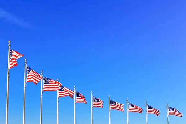 United States national flag — image 31