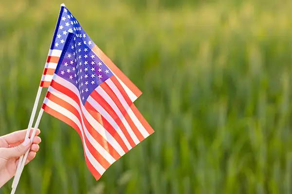 United States national flag — image 32