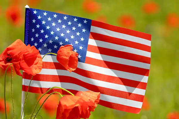 United States national flag — image 34